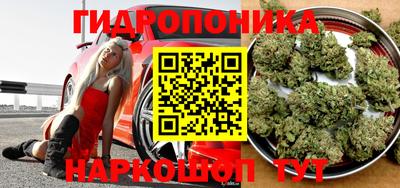 apvp Донской
